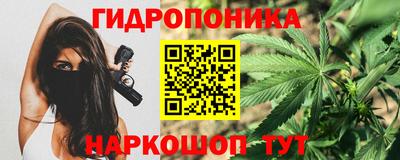 Альфа ПВП Кандалакша