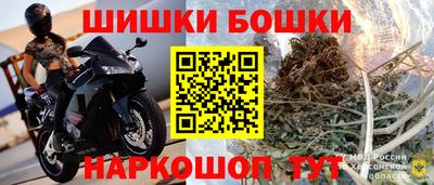 СК Камышлов