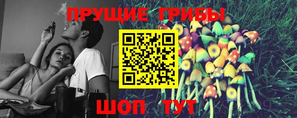 Черемхово  Псилоцибиновые грибы ЛСД  цены   Псилоцибиновые грибы прущие грибы  Вход с VPN 